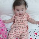 보보소프트 이미지