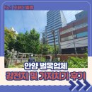 무궁화태영 | 안양 벌목업체 강전지 및 가지치기 후기