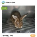 광주TNR동물병원(송정) 이미지
