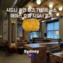 숙소] 에이스 호텔 시드니 코지(Cosy) 룸 솔직 후기: 가성비와 교통(센트럴역/뮤지엄역) 다 잡은 힙한...