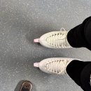 닥터크렘슈타인 | 피겨 초보의 좌충우돌 피겨 도전기 ⛸️