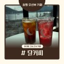 진전면897 | 창원 바다 보이는 카페 달커피｜아이 동반도 편했던 내돈내산 후기