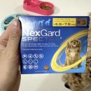 오복약국 이미지