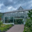 GR(대구광역시 달성군)-[화암로]-하-1 | 8월 한여름 대구수목원 방문후기