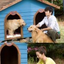 애견사랑 이미지