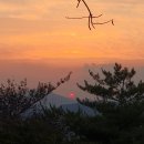 모양새 | 2026.06.10.수.입화산 야간등산후기