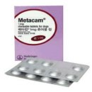 베링거인겔하임동물약품(주) 이미지