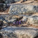 삼청각 | W12. 3월의 삼청각 일화당 웨딩┃하객 후기