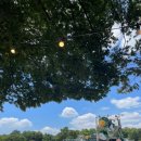 알미공원 화장실 | 2025 뷰민라 후기 💖🌇🎶🎸 (소수빈, 소란, 엔플라잉,죠지)