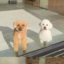 포즈티브 이미지