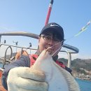 참가자미 이미지