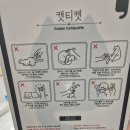 캣플코지눅 시화점 이미지