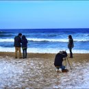 동해바다 이미지