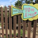 양림펭귄마을 협동조합 이미지