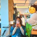 미르헤어 | 제주미용실 톤다운 애쉬브라운 염색 후기 노형동 고위드 헤어 미르st