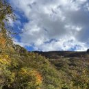 윗만디 사슴농장 | [울산] 2023 간월재/쉬운코스/사슴농장코스/주말후기/주차/꿀팁/간월재억새