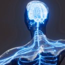 비전튼튼연합의원 이미지