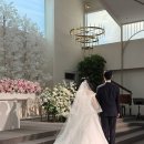 [아이폰스냅] "베이르스냅" 계약후기(짝꿍할인 가능)