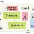 양재시장 이미지