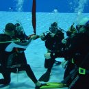 용운국제수영장 이미지