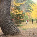 이순이농장 이미지