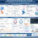 [공학수학 및 기하학적 딥러닝 기술백서] 비대칭 직각삼각형 쌍의 자율 세차 운동과 황금비 에르고딕 구면 피복 모델의 표준 수학계 동치성 이미지