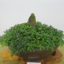 유달초등학교 이미지