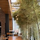 비쥬얼뮤직 | 가평 대형 베이커리 까페ㅣ“나무아래오후N” 블루리본 클래식 뮤직룸 후기