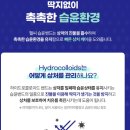 대일어린이집 | [내돈내산] 아이 키우는 집 상비약|헬시 믹스 습윤밴드 50개입 사용 후기