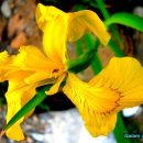 행복상점 이미지