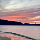 신지명사십리해수욕장 | 더 유명해질 해돋이명소! 완도 신지명사십리해수욕장 해맞이 행사 후기(주차 정보 포함)