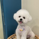 순독살롱 이미지