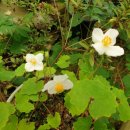 수반농장 이미지