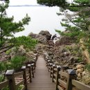 장고도4 이미지