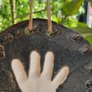 엘사랑어린이집 이미지