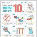 단순 이미지
