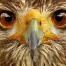 동성백두 이미지