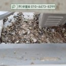 송학지안리즈아파트 이미지