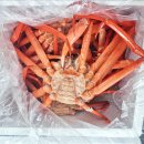 연지 | 연지홍게, 맛있는 후기!