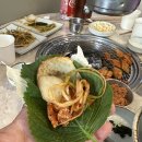 돼지나무사랑걸렸네