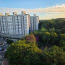 군산하모니공인중개사사무소 이미지