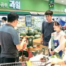 찬들애 이미지