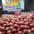 토마토청소 네이버블로그