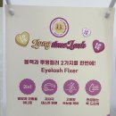 컬리블리