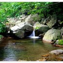 쌍용아파트 건너편 이미지