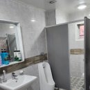 해적선 애견펜션 이미지