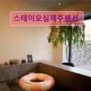 스테이모심 제주펜션 | 제주도 애월 펜션 숙소 게하 스테이모심제주펜션 제주 애월의 숨겨진 보석