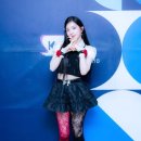 뉴스flower 이미지