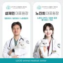 24시루시드동물메디컬센터 이미지