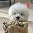오!이맛이당